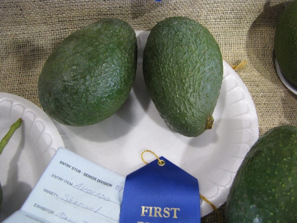 Sharwil fruit at Maui County Fair Kahului Maui Hawaii October 03 2009