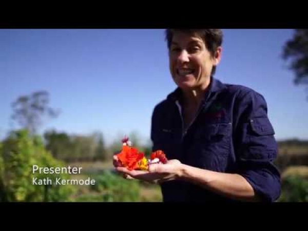 Explore edible flowers