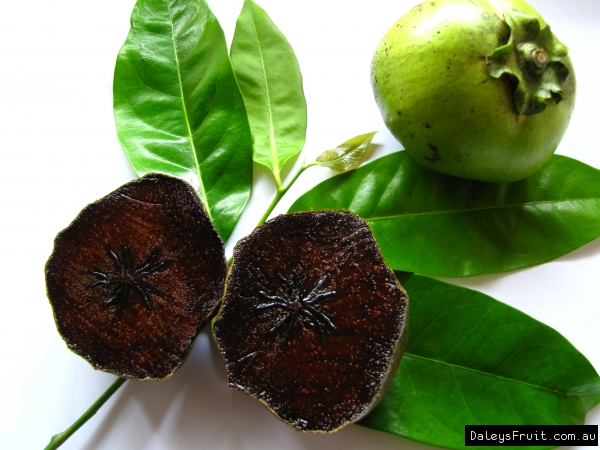 Note: Black sapote fruit of a generic variety please contact us if you have pictures of this exact variety