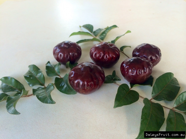 Burdekin Plum fruit