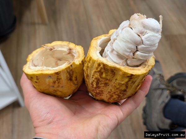 Halved Cacao pod displaying packed seeds and sweet pulp