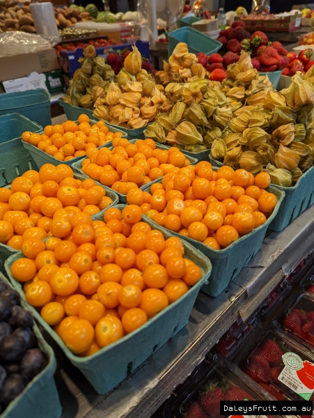 Cape gooseberries by the bucket