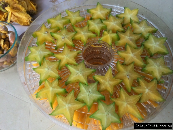 Carambola fruit ready to dry out in the Fruit Dehydrator