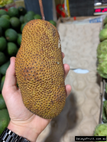 Chempedek fruit in hand over Fat Cats Son market stall trays