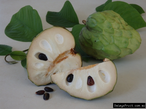 Cherimoya white