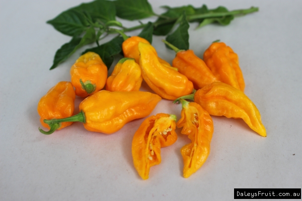 Chilli Habanero Orange