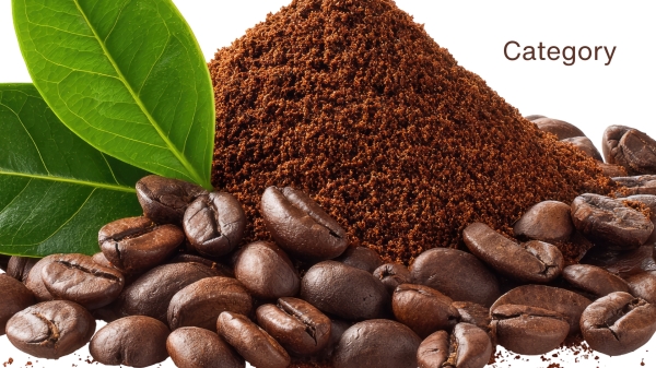 Coffee Plants to Berries to Beans to Cup of Coffee