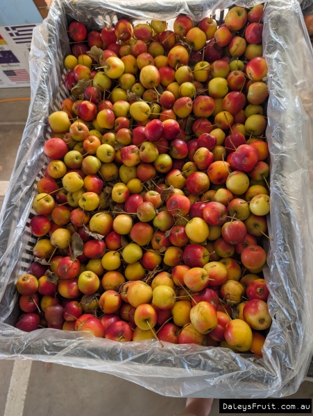 A display box of crab apples for sale