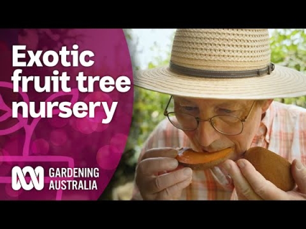 ABC Gardening Australia on TV Episode about Daleys Fruit Tree Nursery