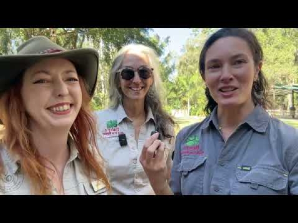 Video: Daleys Fruit Tree Nursery with Tropical Fruit World
