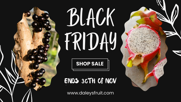 Black Friday Sale Now On