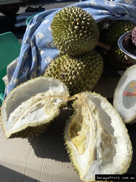 Durian split to show inner segments