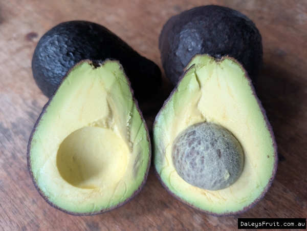 Shows the green to yellow flesh of the Avocado Fruit