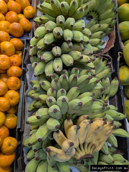 Bunches of Yellow and Green bananas at market stalls