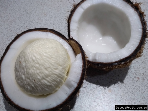 Halved coconut showing young sprouting cocnut germinating inside