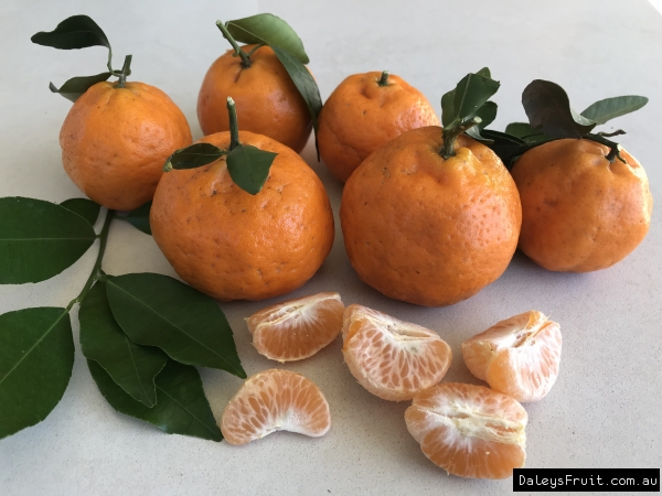 Mandarin Emperor Fruit