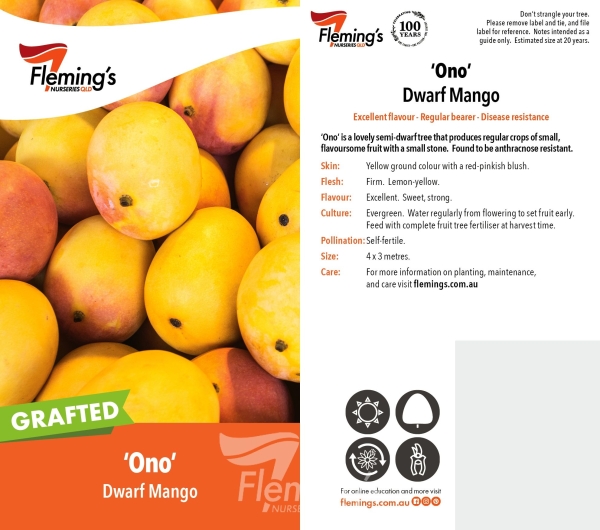 Cultural notes on the Ono Dwarf Mango Grafted Fruit Tree