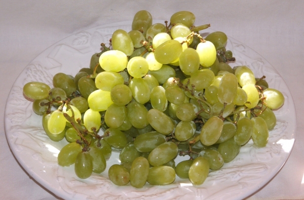 Grape Thompson Seedless