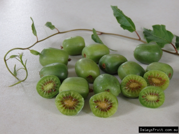 Hardy Kiwi Fruit