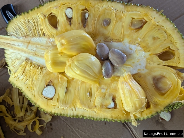 Open Brinsmead Special Jakfruit showing ripe yellow arils and edible seeds