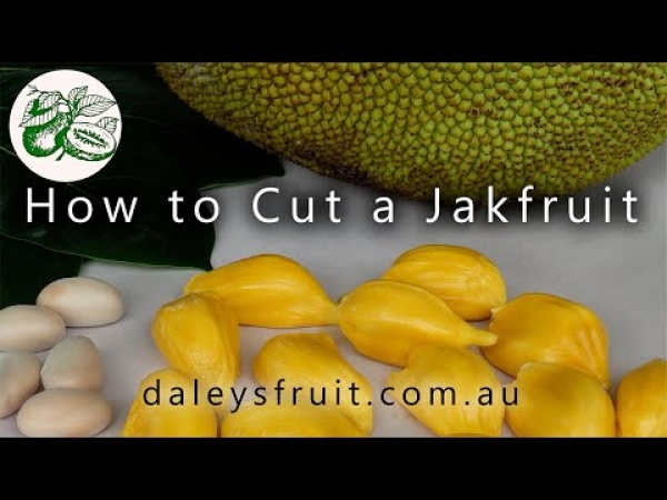 Ho to Cut a Jakfruit