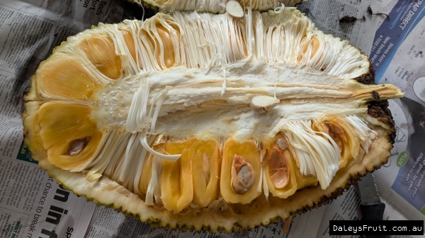 Rajhan Jakfruit