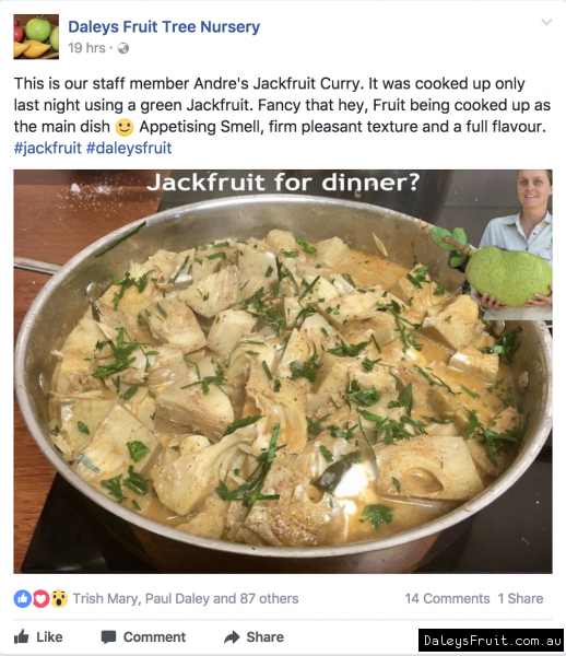 Jackfruit Curry