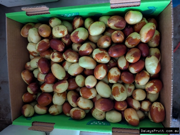 Box of Fresh Early Tiger Tooth Jujubes ready for South Australian market