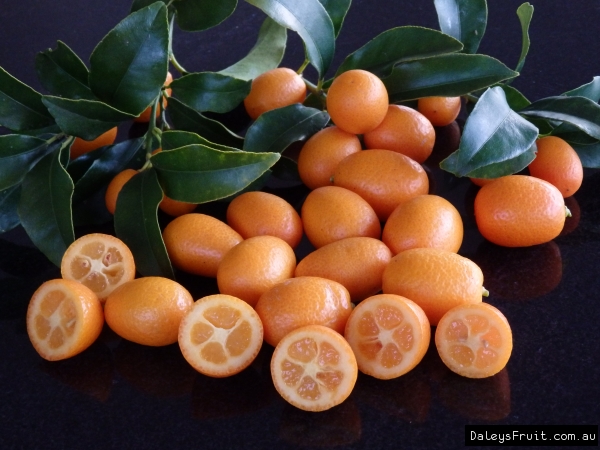 Kumquat Nagami