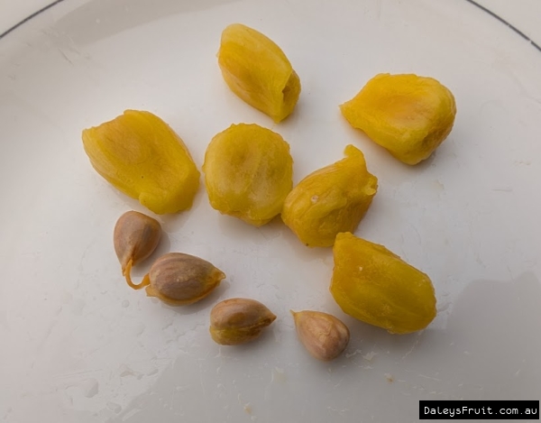 Lakoocha arils and seeds separated from ripe fruit