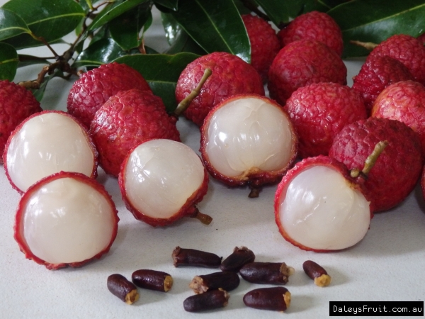 Lychee Salathiel