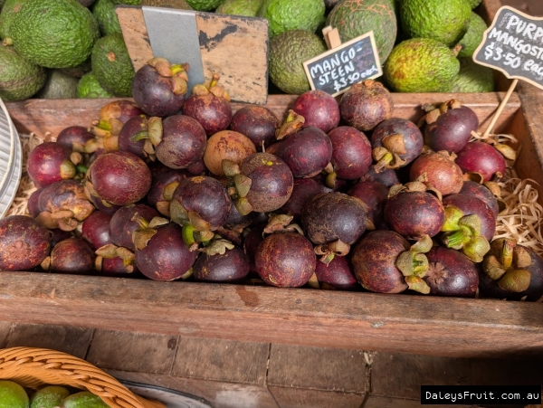 Box of Purple mangosteen fruit for sale at Tropcal Fruit World