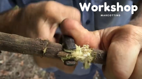 Techniques shown at the Marcotting Workshop