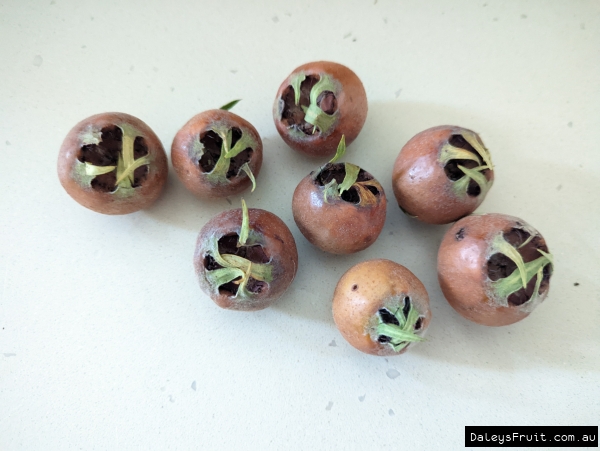 Medler ripening fruit