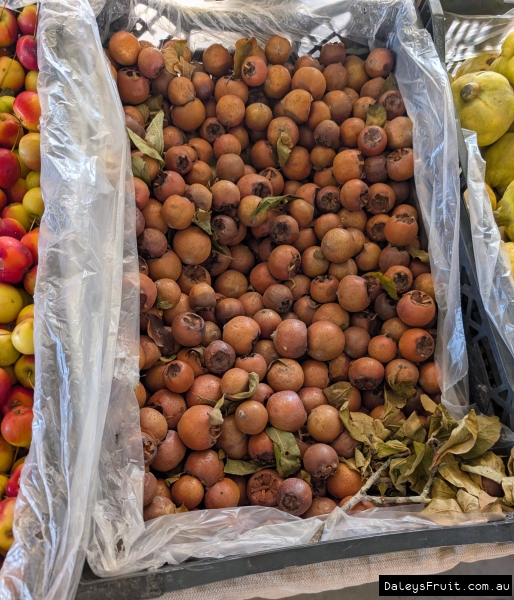 Display box of mixed ripe Medlar fruit for sale