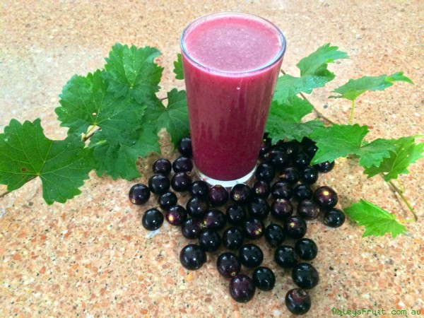 The Grape Vine that grows in more places