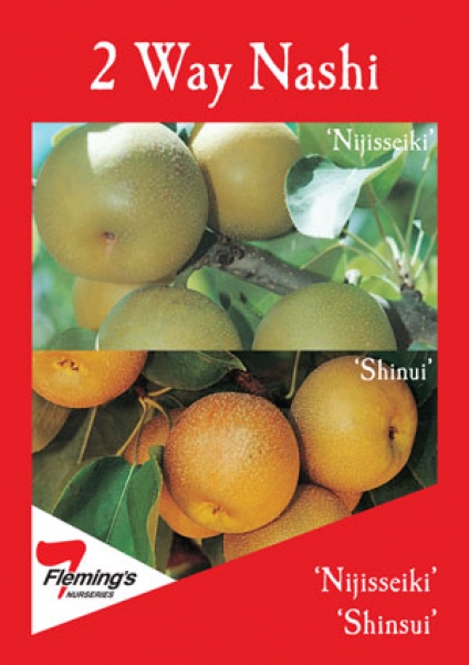 Nashi 2 way Nijisseiki and shinsui Plant Label