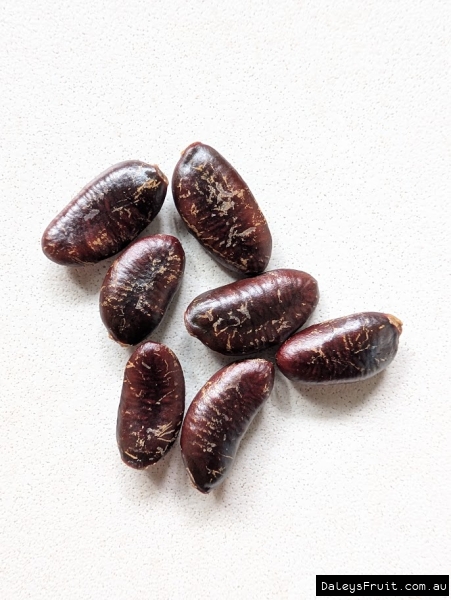 Handful of fresh harvested North American paw paw seed