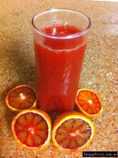 Orange - 'Arnold's Blood Orange' - Citrange - The Diggers Club