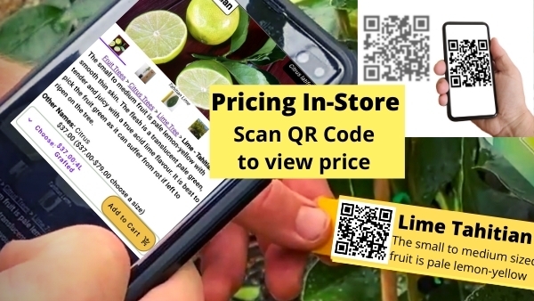 Scan QR Code In-store to view Price