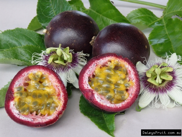 Passionfruit