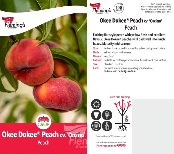 Peach OkeeDokee Orcino