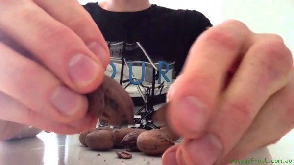 How to Open Pecan Nuts Like a Pro