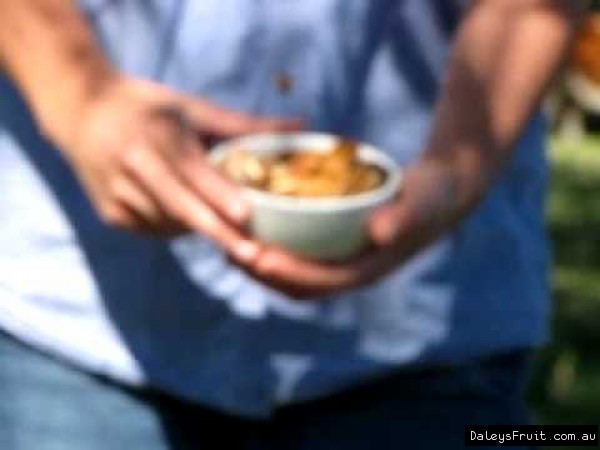 Pecan Nut Tree Video