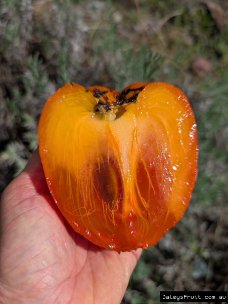Split in half to show the lighter orange flesh and seed size and makeup