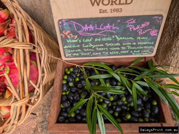 Box of Plum pines for sale at Tropical Fruit World