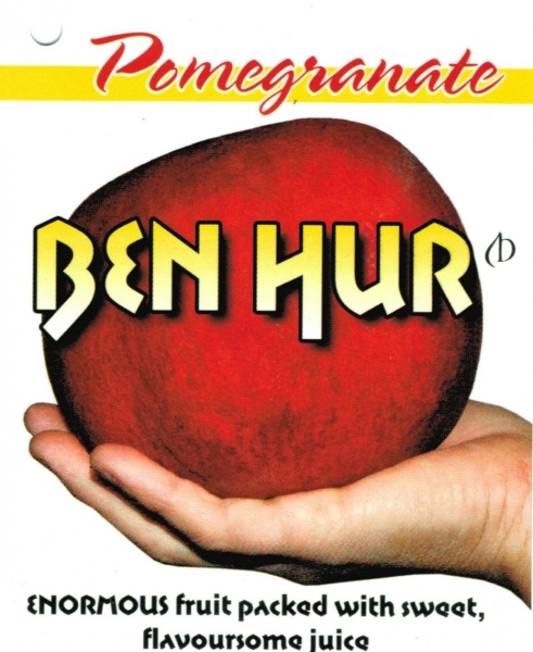 Pomegranite Ben Hur Label Courtesy