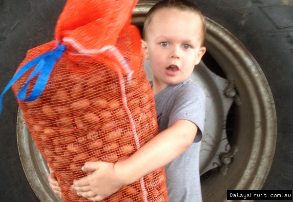 Ready to eat Fruit and Nuts picture of boy holding bag of pecan nuts that can be cracked open and eaten