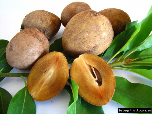 Sapodilla fruit