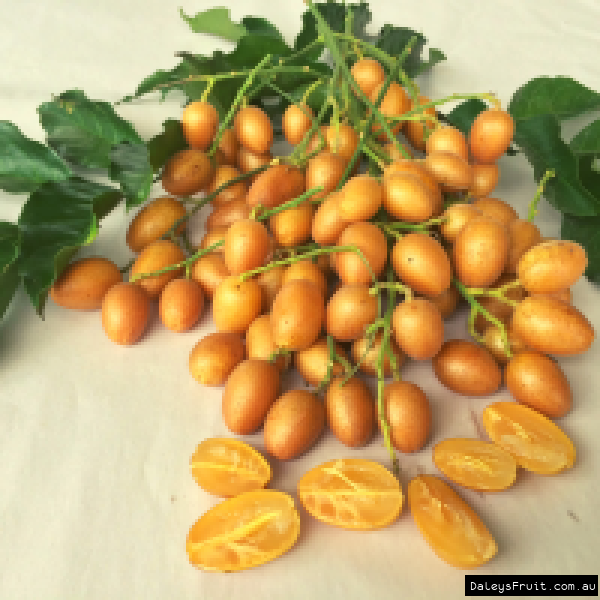 Guy Sam Wampee fruit showing orange skin and ripe flesh